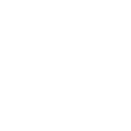 The Bodysuit of Barcelona